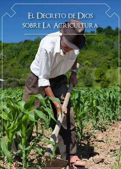 Revista de Prédica - La Ley Real - Aeminpu Lima