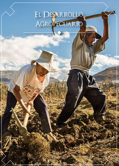 Revista de Prédica